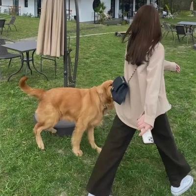俏罗成